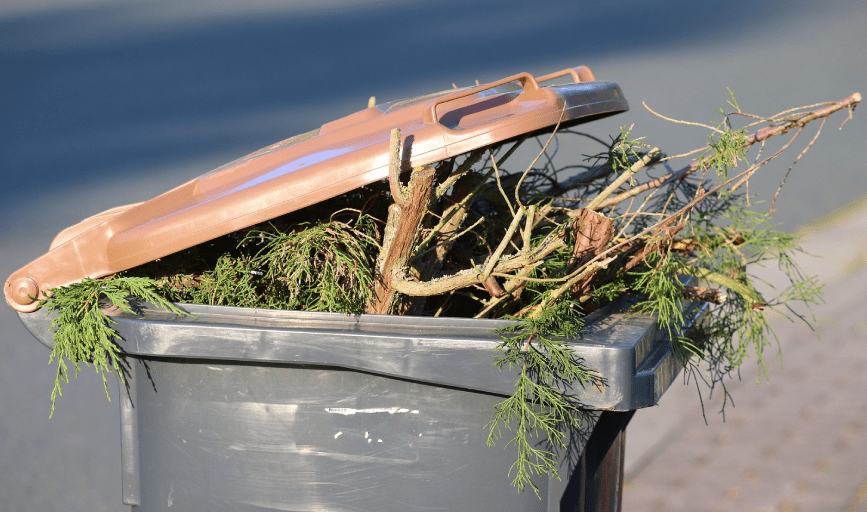 DEBRIS REMOVAL